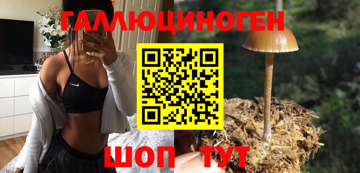 Майкоп  Галлюциногенные грибы ЛСД  Псилоцибиновые грибы Cubensis  Вход с VPN 