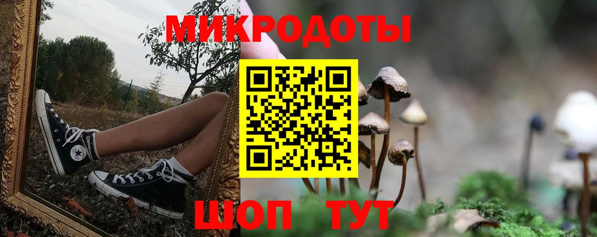 Псилоцибиновые грибы Psilocybine cubensis Майкоп
